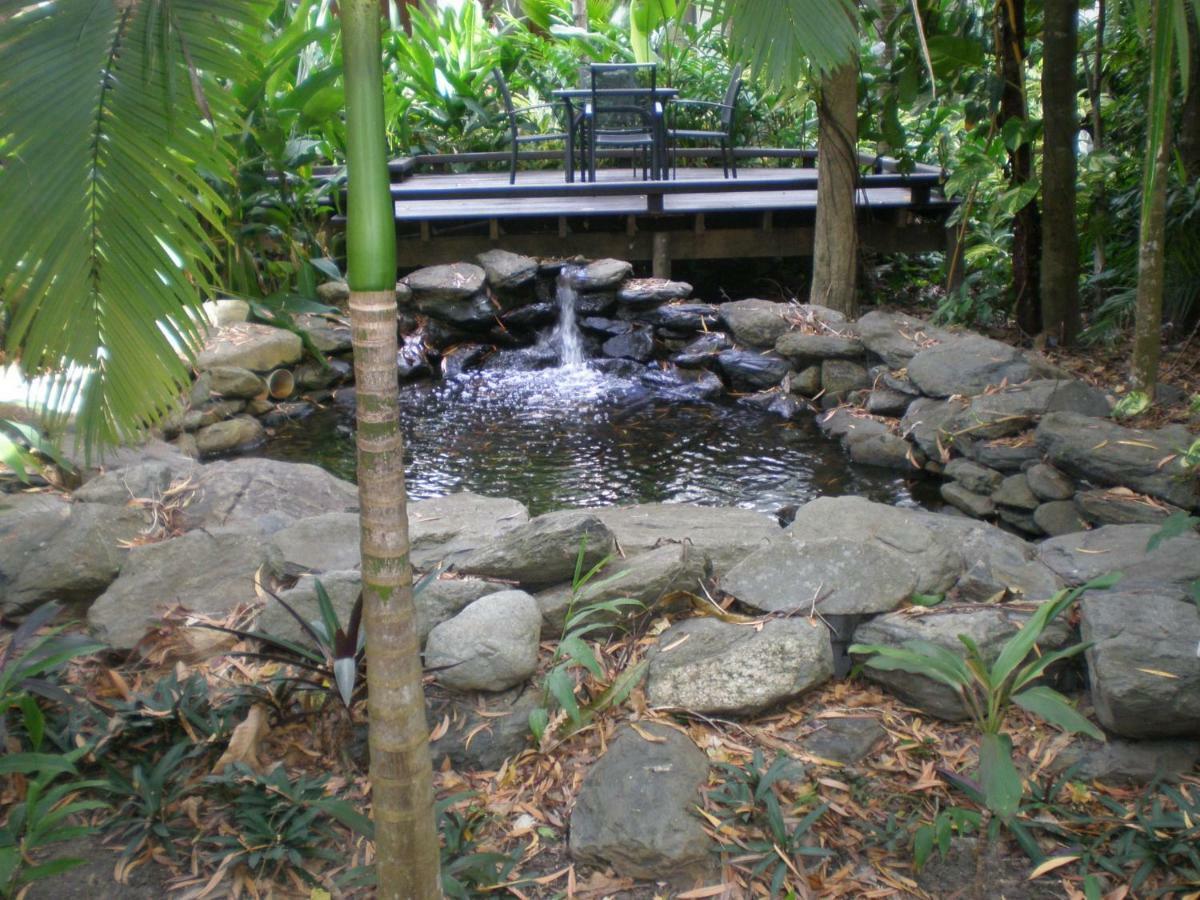 Hidden Gem @ Palm Cove 아파트 외부 사진